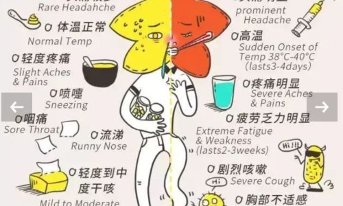 抗癌中药方剂推荐-抗癌中药方剂、抗癌中药方选大全 -抗癌中药方选全书网
